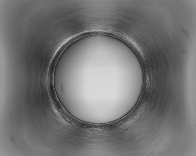 X0000111190580200907011011
