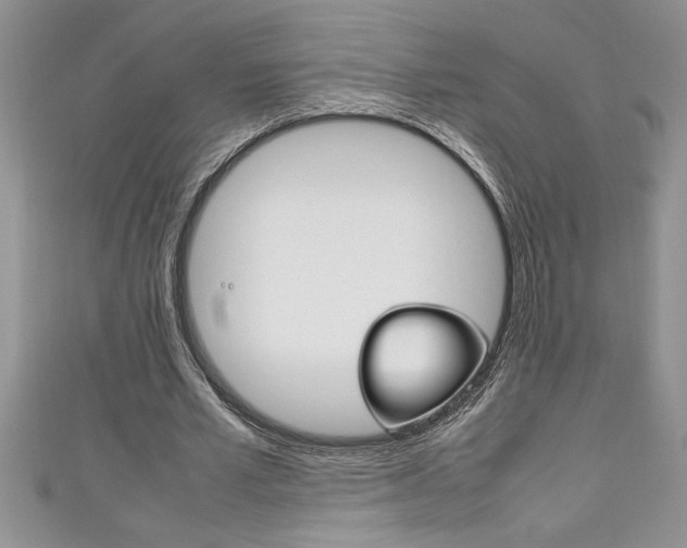 X0000111190581200907011011