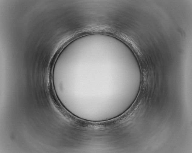 X0000111190582200907011011