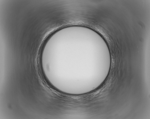 X0000111190583200907011011