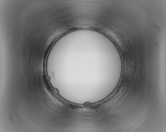 X0000111190586200907011011