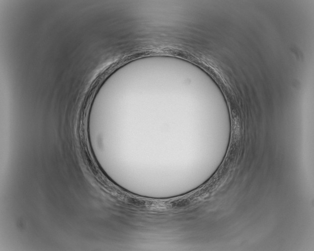 X0000111190587200907011011