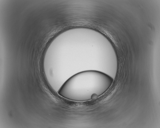 X0000111190589200907011010