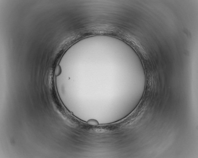 X0000111190590200907011010