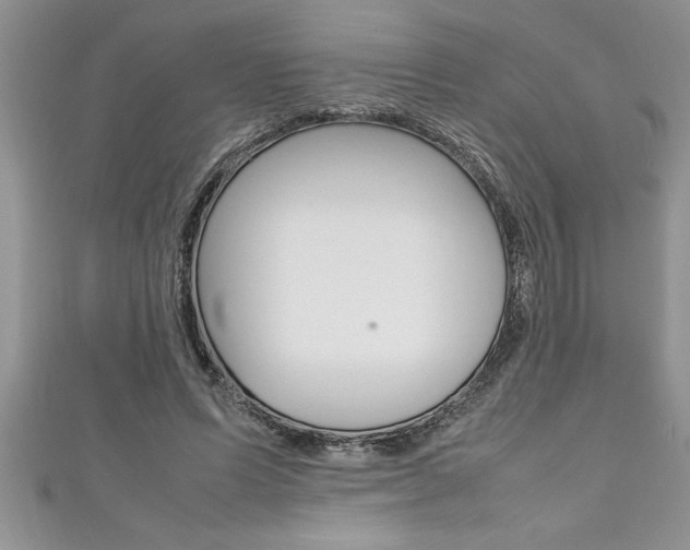 X0000111190591200907011010