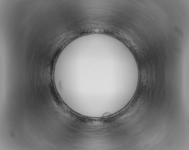 X0000111190594200907011010