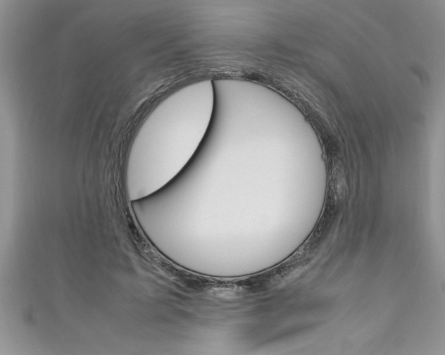 X0000111190595200907011010