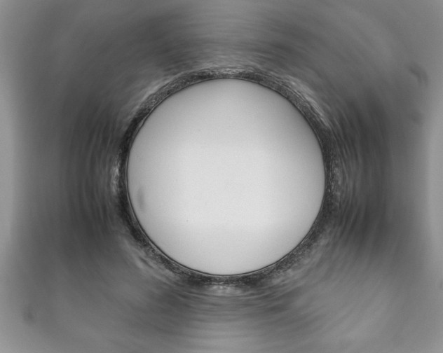X0000111190596200907011010