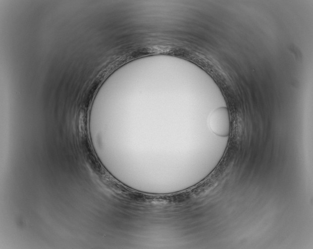 X0000111190598200907011010