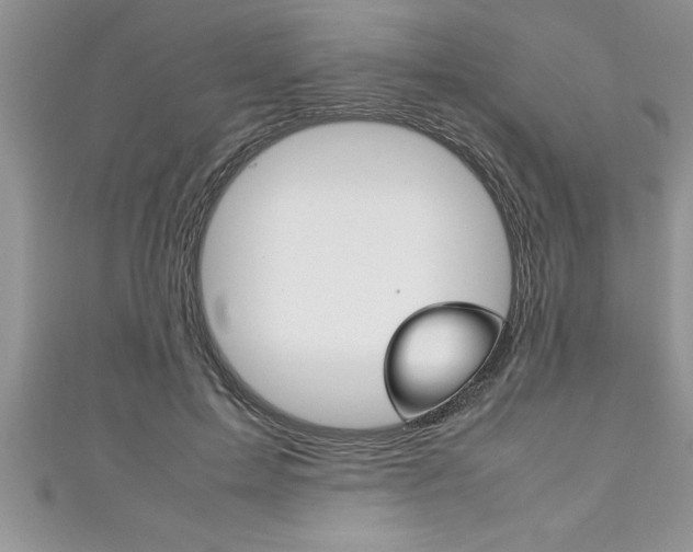 X0000111190599200907011010