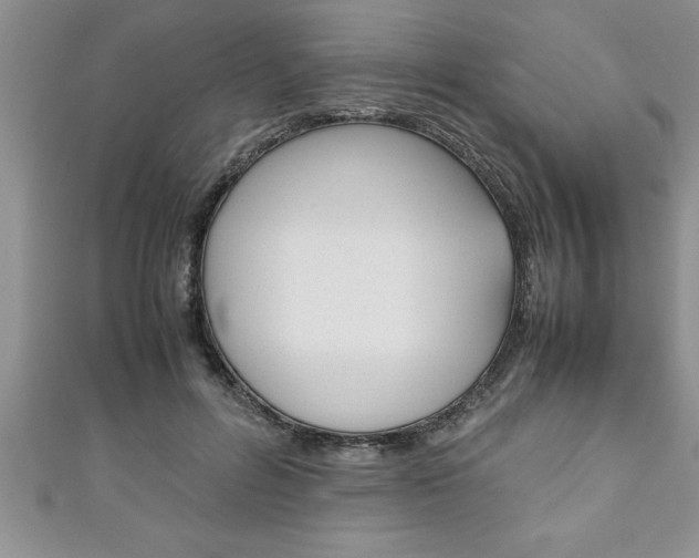 X0000111190600200907011010