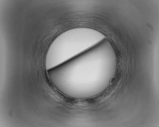 X0000111190601200907011010