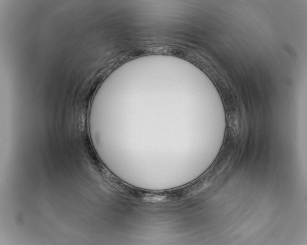 X0000111190602200907011010