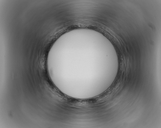 X0000111190604200907011010