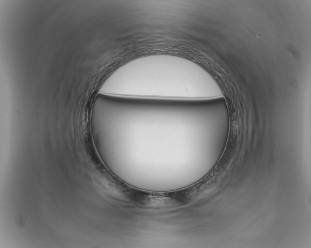 X0000111190605200907011010