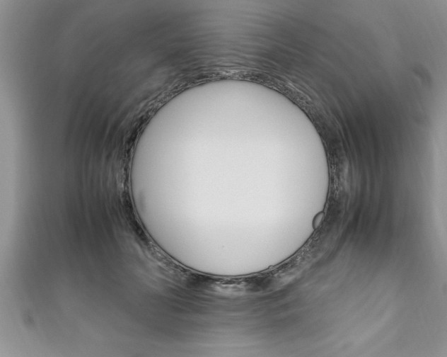 X0000111190606200907011010