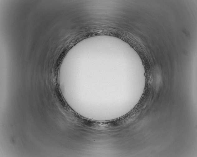 X0000111190607200907011010
