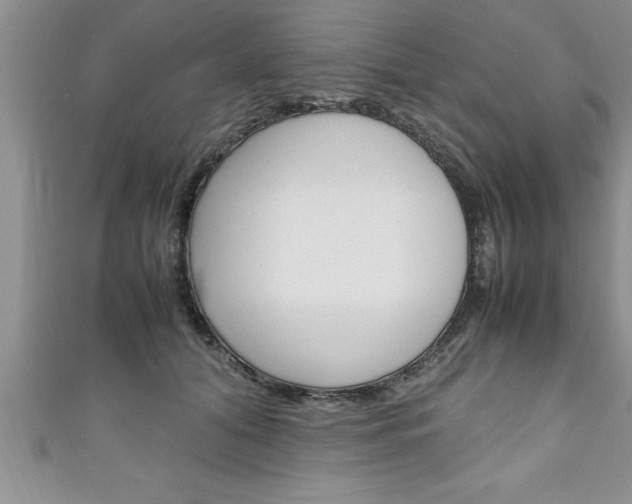 X0000111190608200907011010