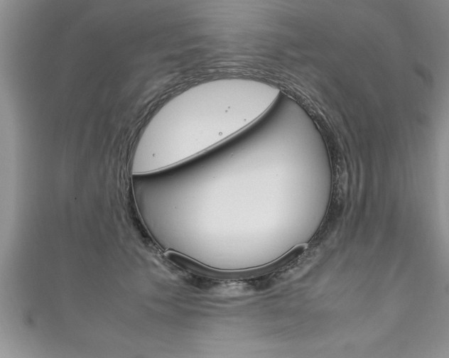 X0000111190609200907011010