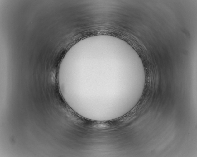 X0000111190610200907011010