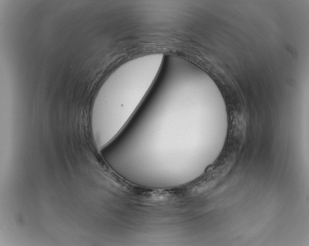 X0000111190612200907011010