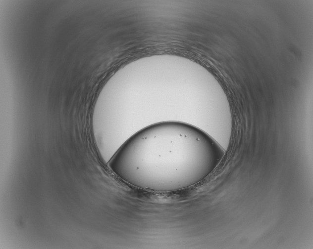 X0000111190613200907011010