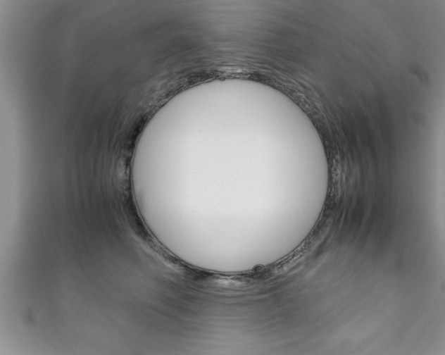 X0000111190614200907011010