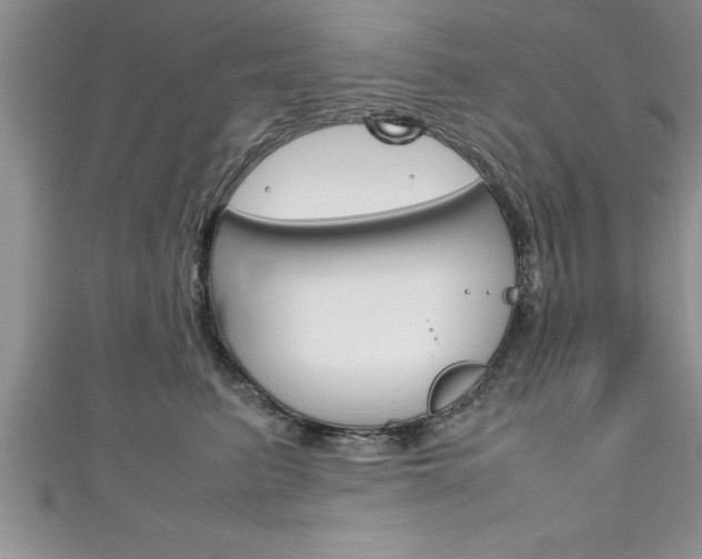X0000111190615200907011010