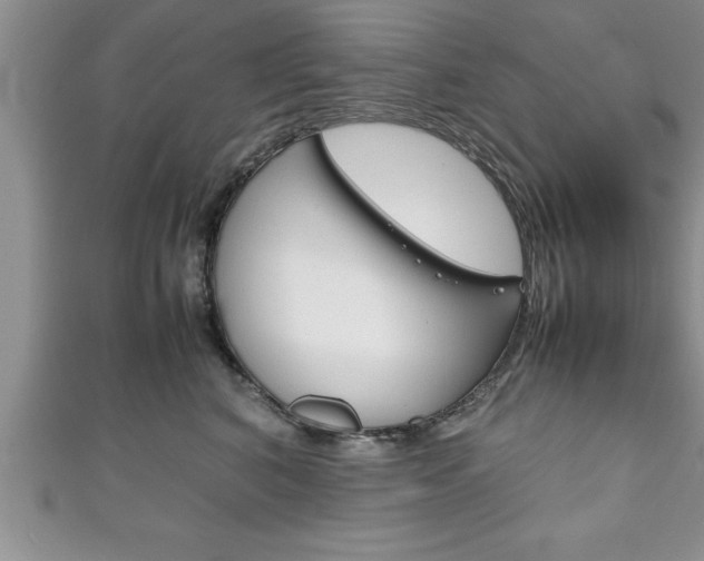 X0000111190616200907011010