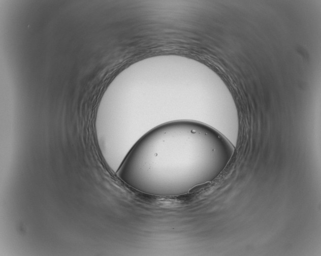 X0000111190617200907011010