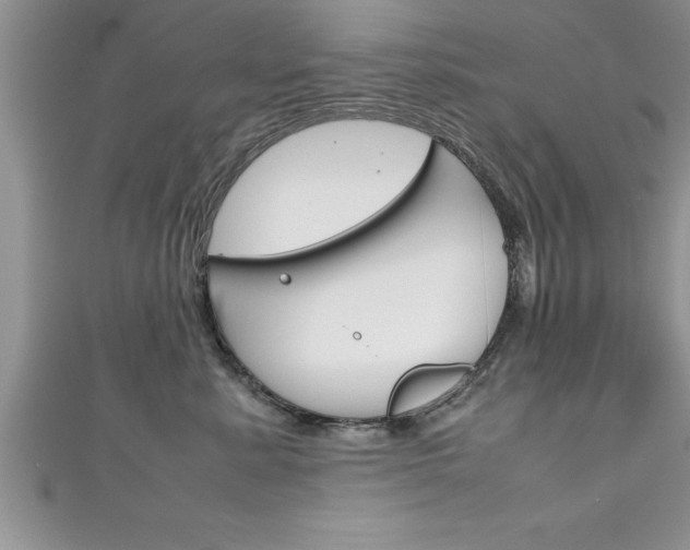 X0000111190619200907011010