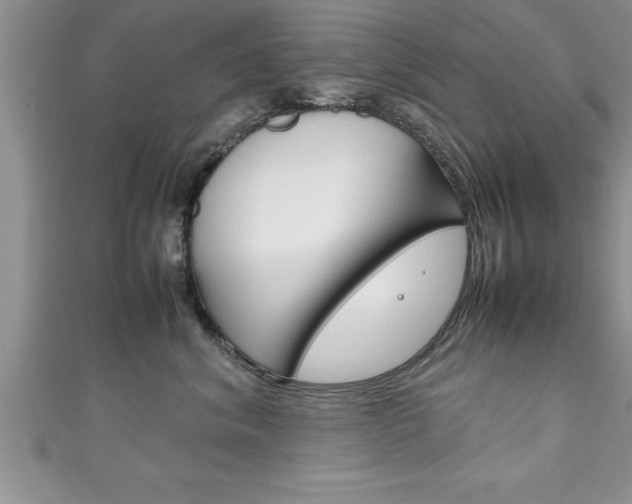 X0000111190620200907011010