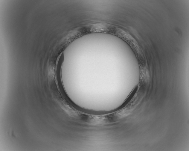 X0000111190621200907011010