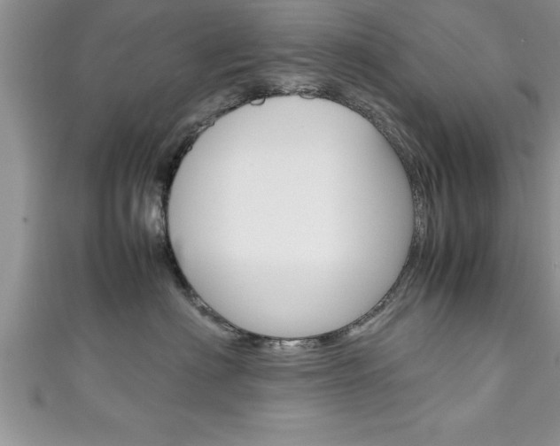 X0000111190622200907011010