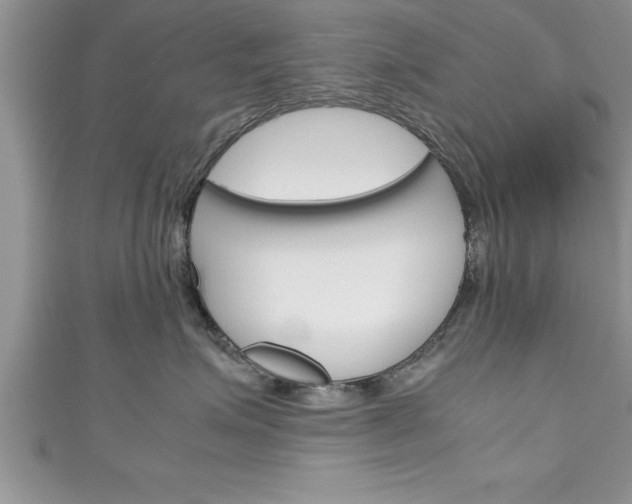 X0000111190623200907011010