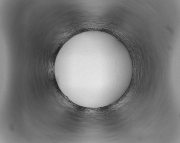 X0000111190624200907011010