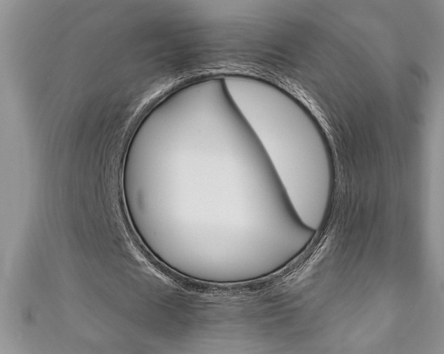 X0000111190625200907011009