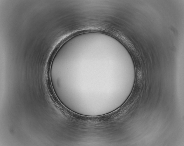 X0000111190628200907011009