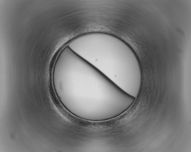 X0000111190630200907011010