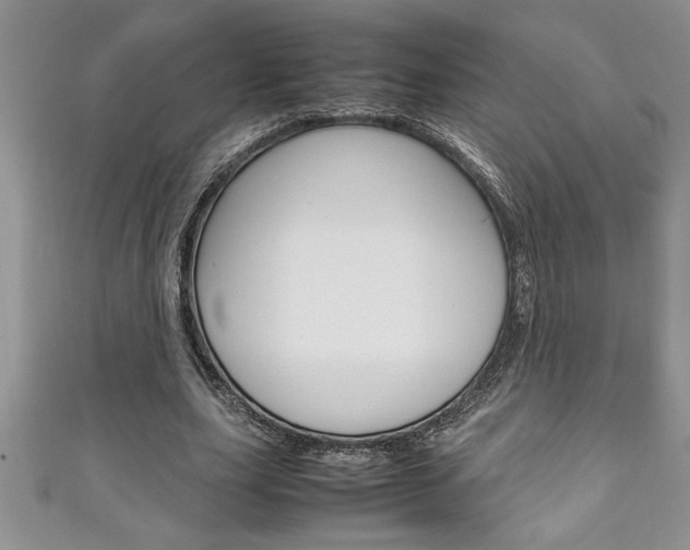 X0000111190631200907011010