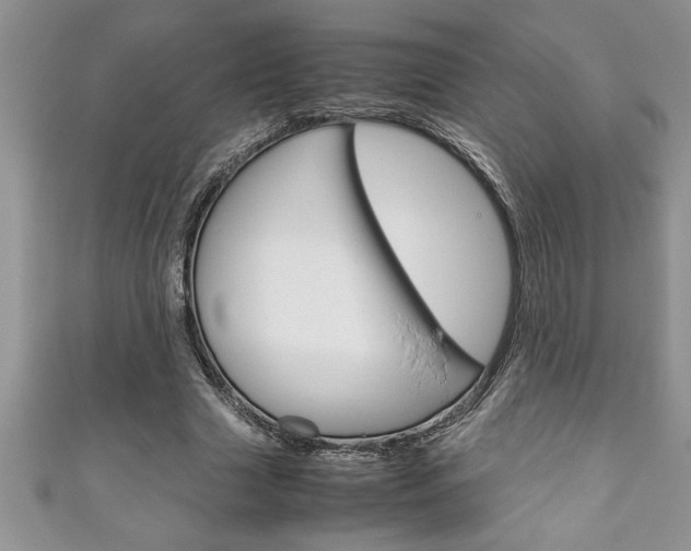X0000111190633200907011010