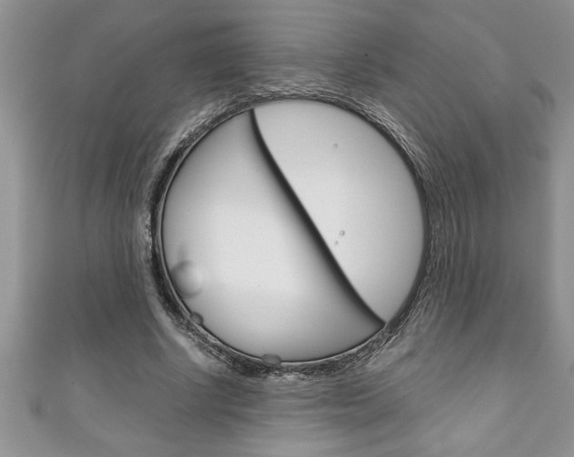 X0000111190634200907011010