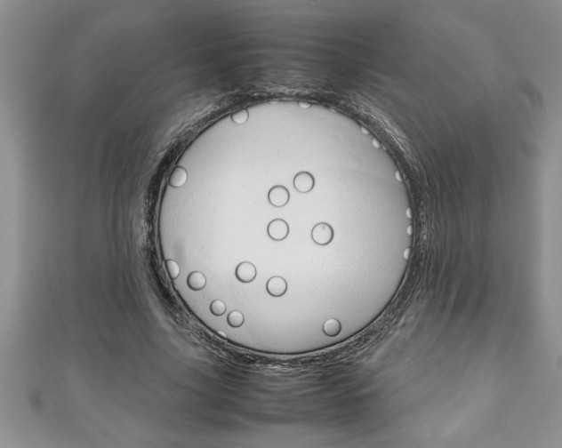 X0000111190635200907011010