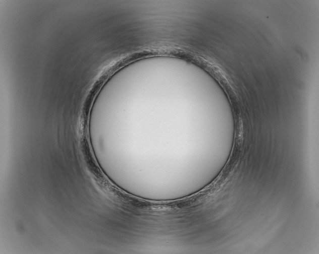 X0000111190636200907011010