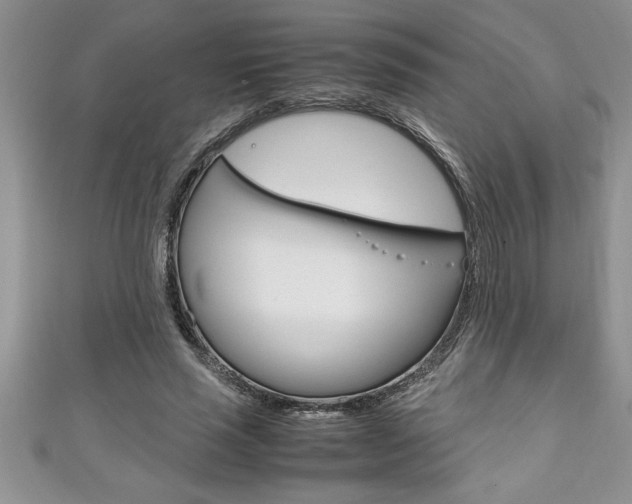 X0000111190637200907011010