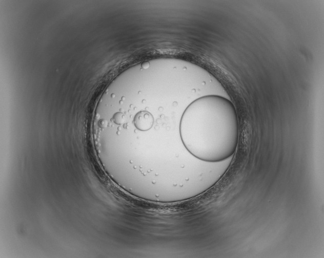 X0000111190639200907011010