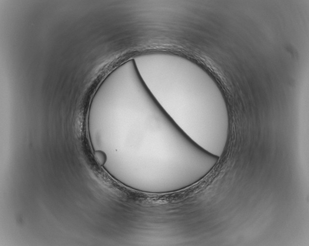 X0000111190640200907011010