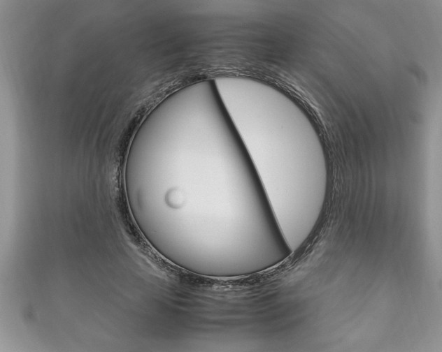 X0000111190641200907011010