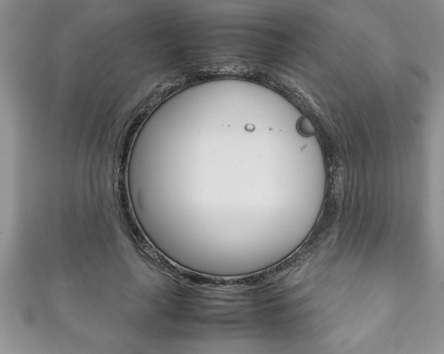 X0000111190643200907011010