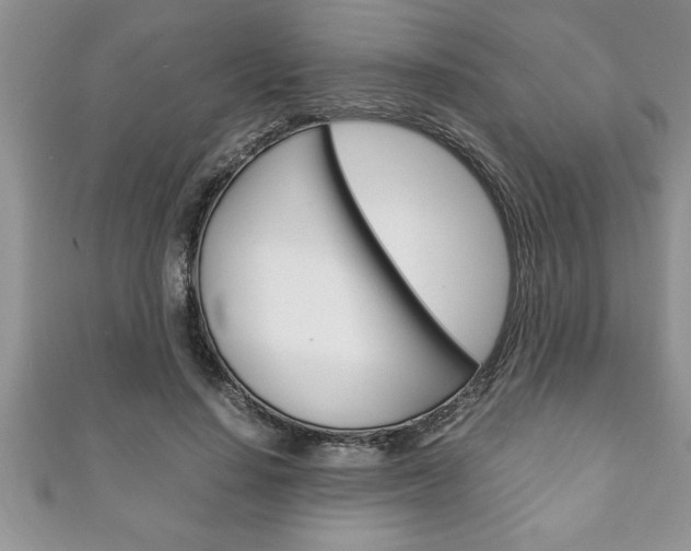 X0000111190644200907011010